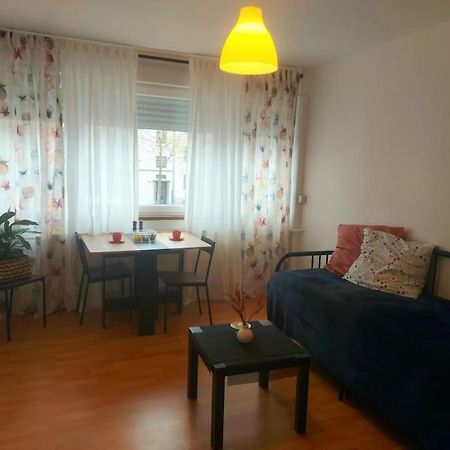 Studio Lumineux Strasbourg Extérieur photo